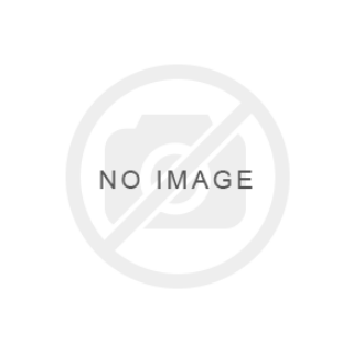 Picture of B511F271301-0600T  شبك صدام امامي تحت السيفين 18-24
